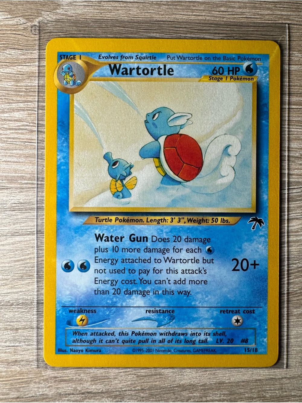 Wartortle #15/Pokemon Southern Islands